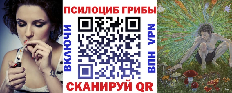 даркнет официальный сайт  где можно купить   Сусуман  Галлюциногенные грибы Psilocybe 